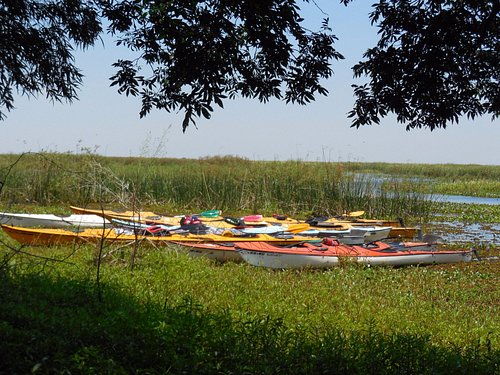 ibera wetlands tours