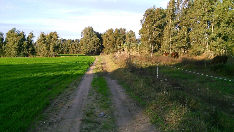 Panoramica