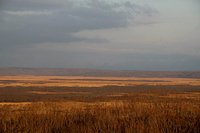 21年 釧路湿原野生生物保護センター 行く前に 見どころをチェック トリップアドバイザー