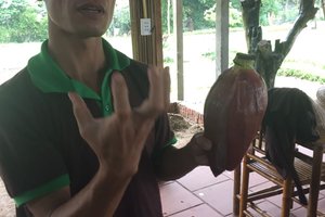 Nội thất