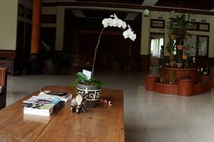 Wisatawan