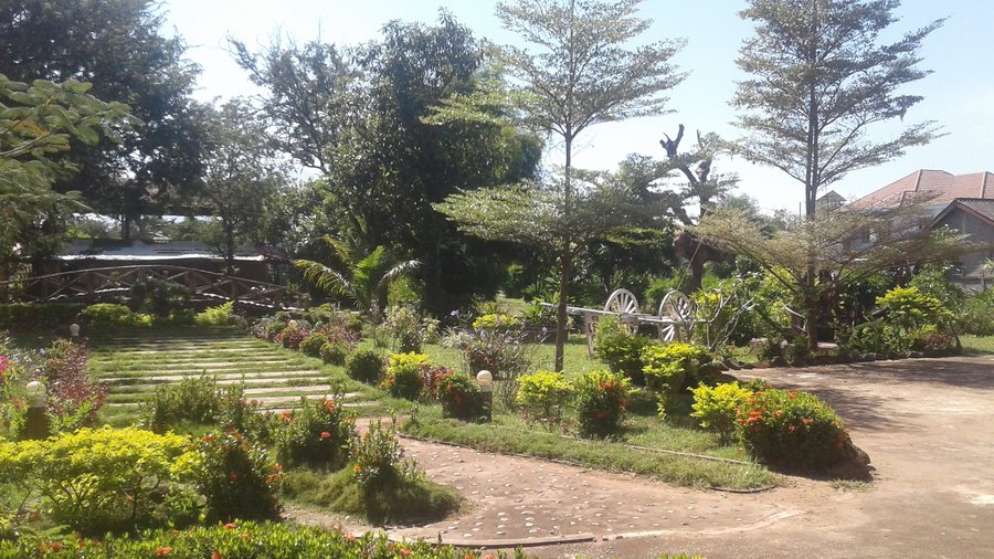 Xuanmai garden resort .