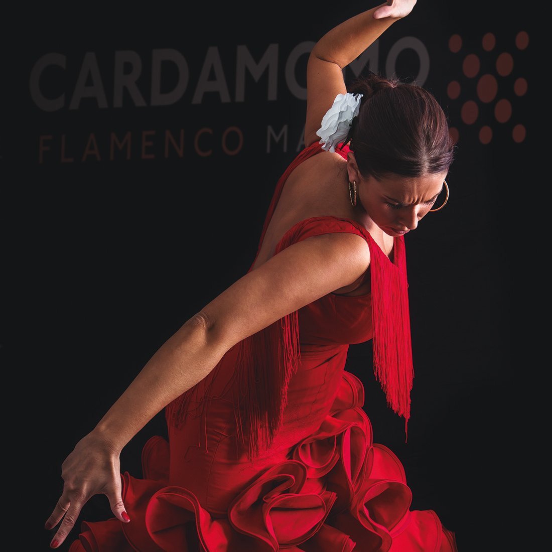 Cardamomo Tablao Flamenco (Madrid) Lohnt es sich? (Mit fotos)