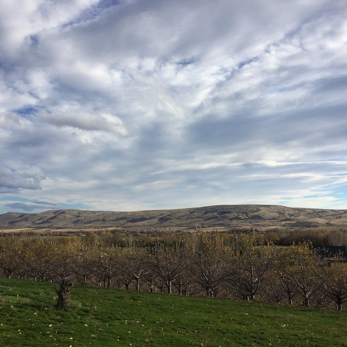 Cowiche Canyon Trail Yakima All You Need To Know Before You Go