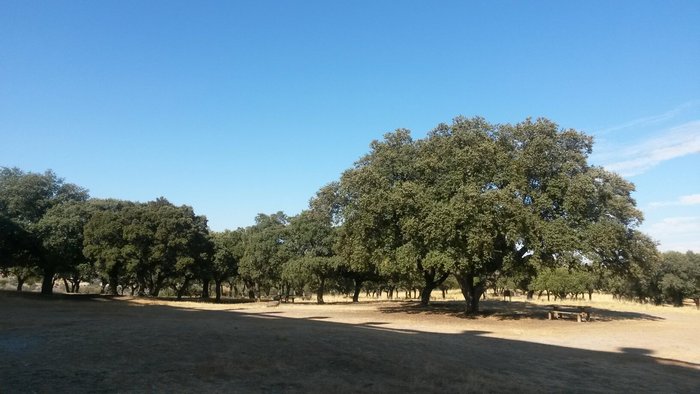 Imagen 4 de Palacio Real de Riofrío