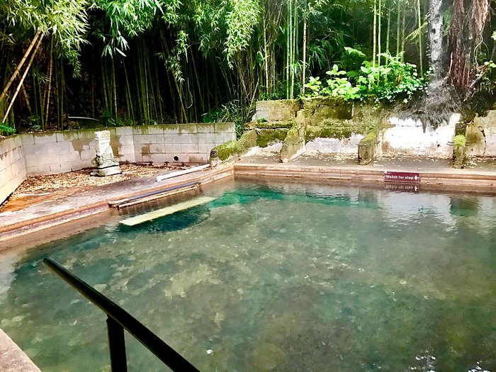 Opal Hot Springs & Holiday Park Opal Hot Springs & Holiday Park