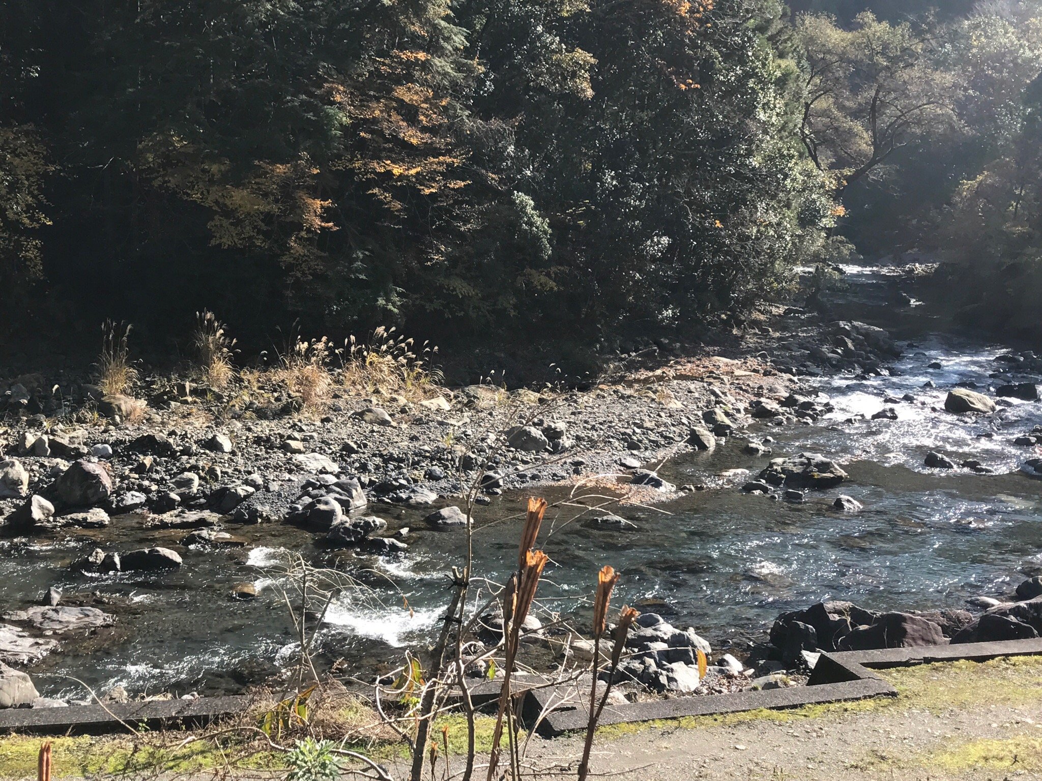 天然温泉磐田天神の湯 1000円割引券(２人使用可) 激しく