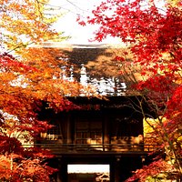 総門から紅葉が覆う山門を観る