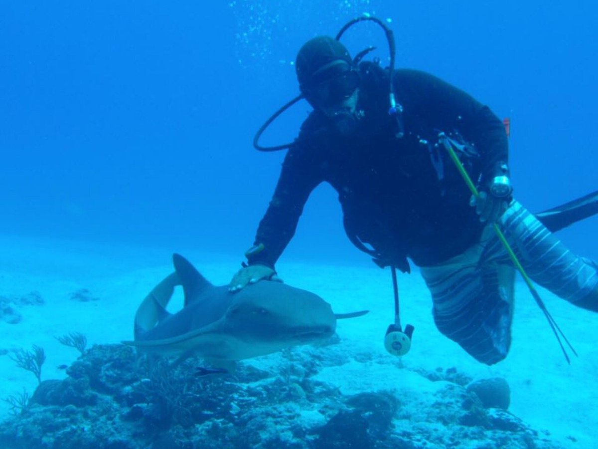 Introducir 46+ imagen dive edgar cozumel