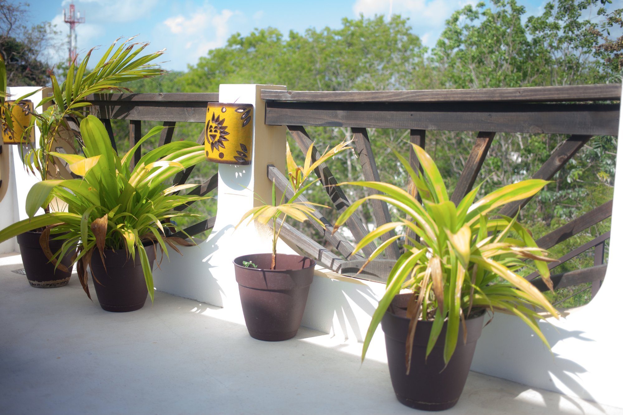 Mango Tulum Hotel by null