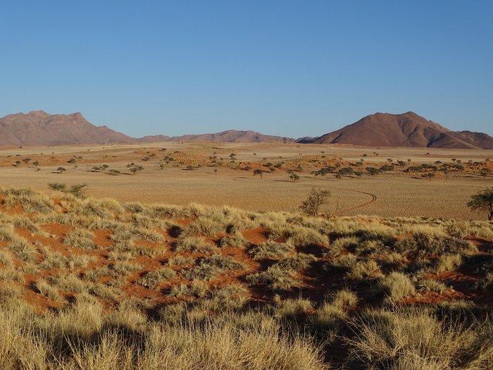 DUNE CAMP - Campground Reviews (NamibRand Nature Reserve, Namibia)