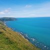 Things to do in Kapiti Coast, North Island: The Best Shopping