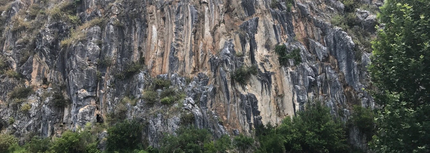 Located near Buchan township is the Bluff, so uniquely serene