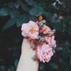 Rawan_144