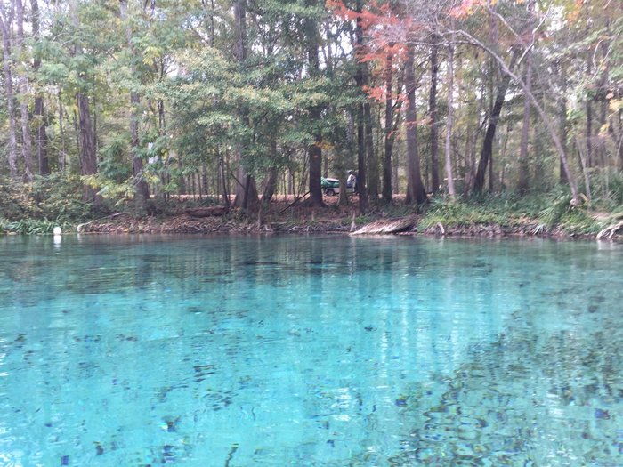 Ginnie Springs (High Springs, Floride) tarifs 2024 mis à jour et avis