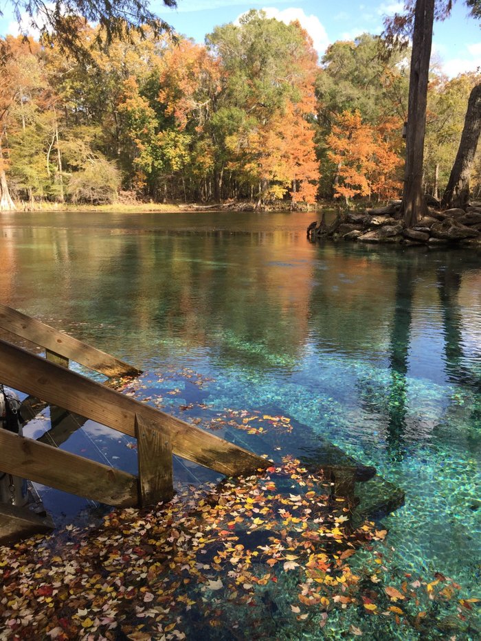 Ginnie Springs (High Springs, Floride) tarifs 2024 mis à jour et avis