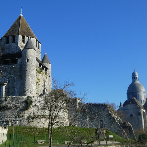 Ruines De La Chapelle De L'ancien Palais Des Comtes De Champagne 