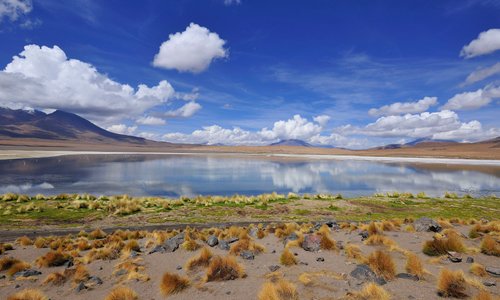 Март .Laguna Verde