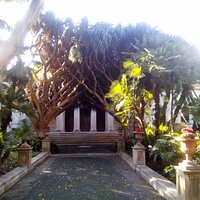 Beautiful plants and a quiet atmosphere :)