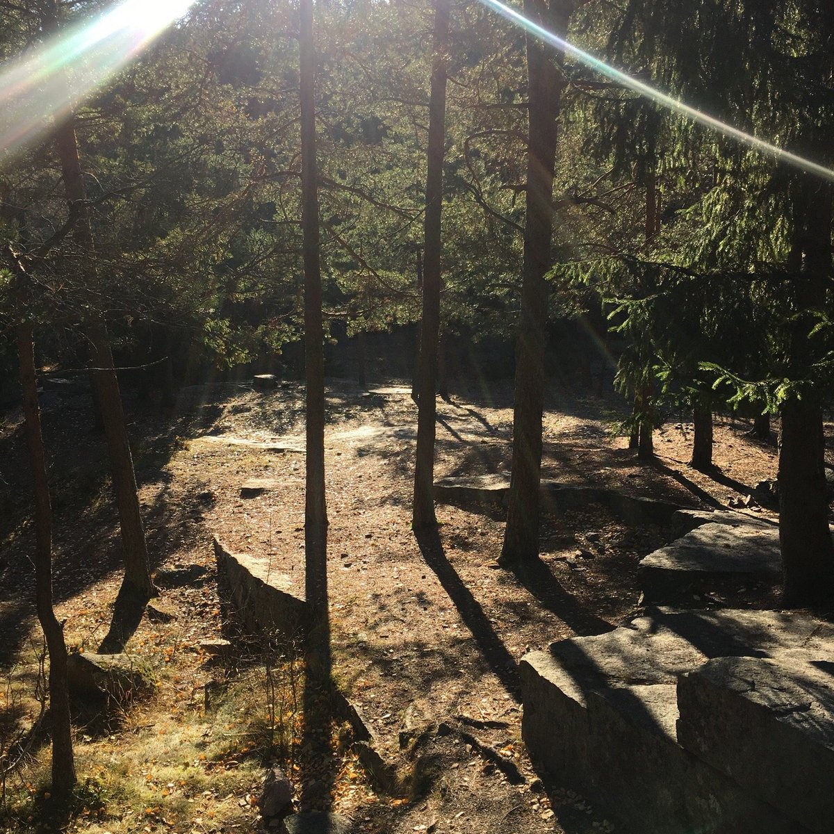 Wild area