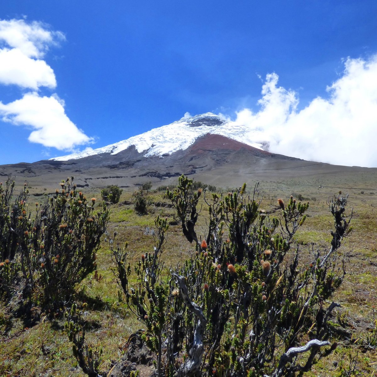 Cotopaxi National Park (Cotopaxi Province, Ekuador) Review Tripadvisor