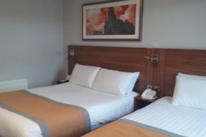 Room & Suite