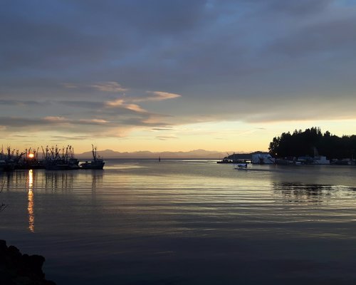 THE 15 BEST Things to Do in Port Hardy (2024) - Must-See Attractions