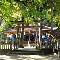 大イチョウの右奥にある大歳神社