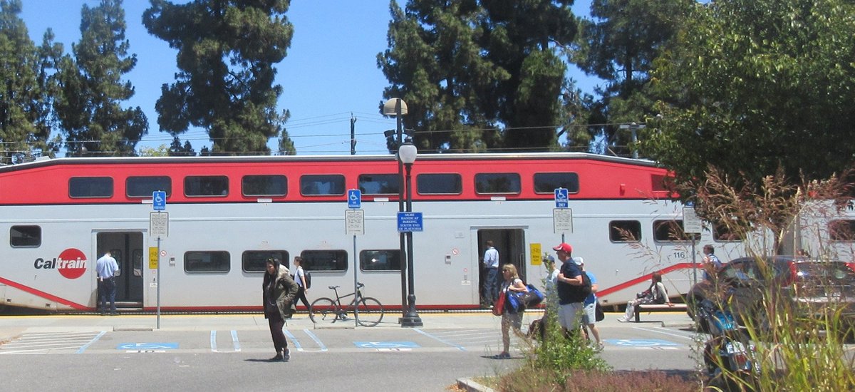 does caltrain allow dogs