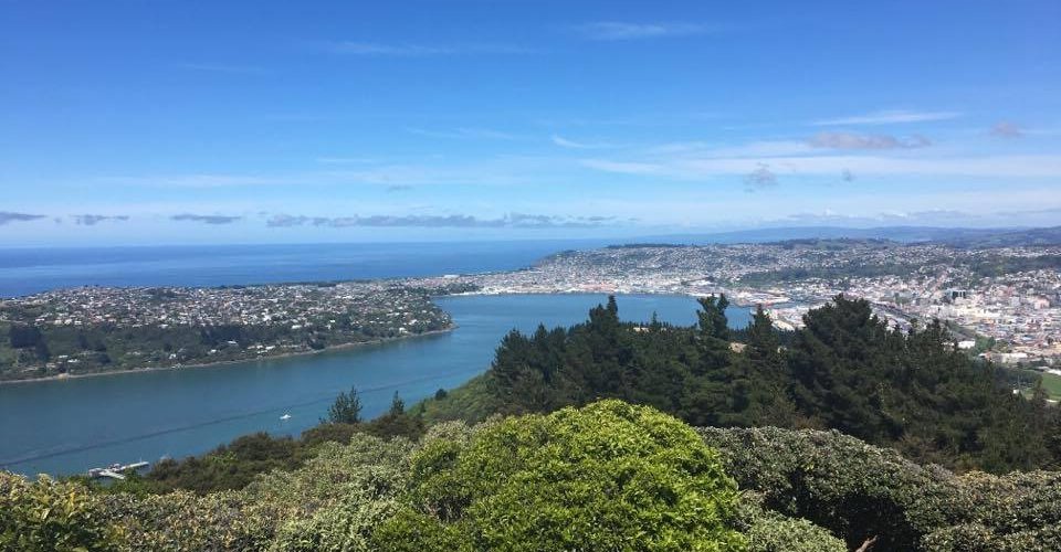 Port Chalmers, New Zealand 2024: Best Places to Visit - Tripadvisor