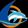 Dolphin T