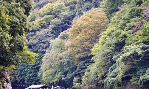 Boat ride on Oi River