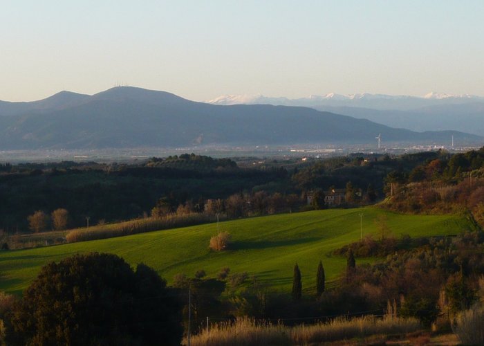 Panorama