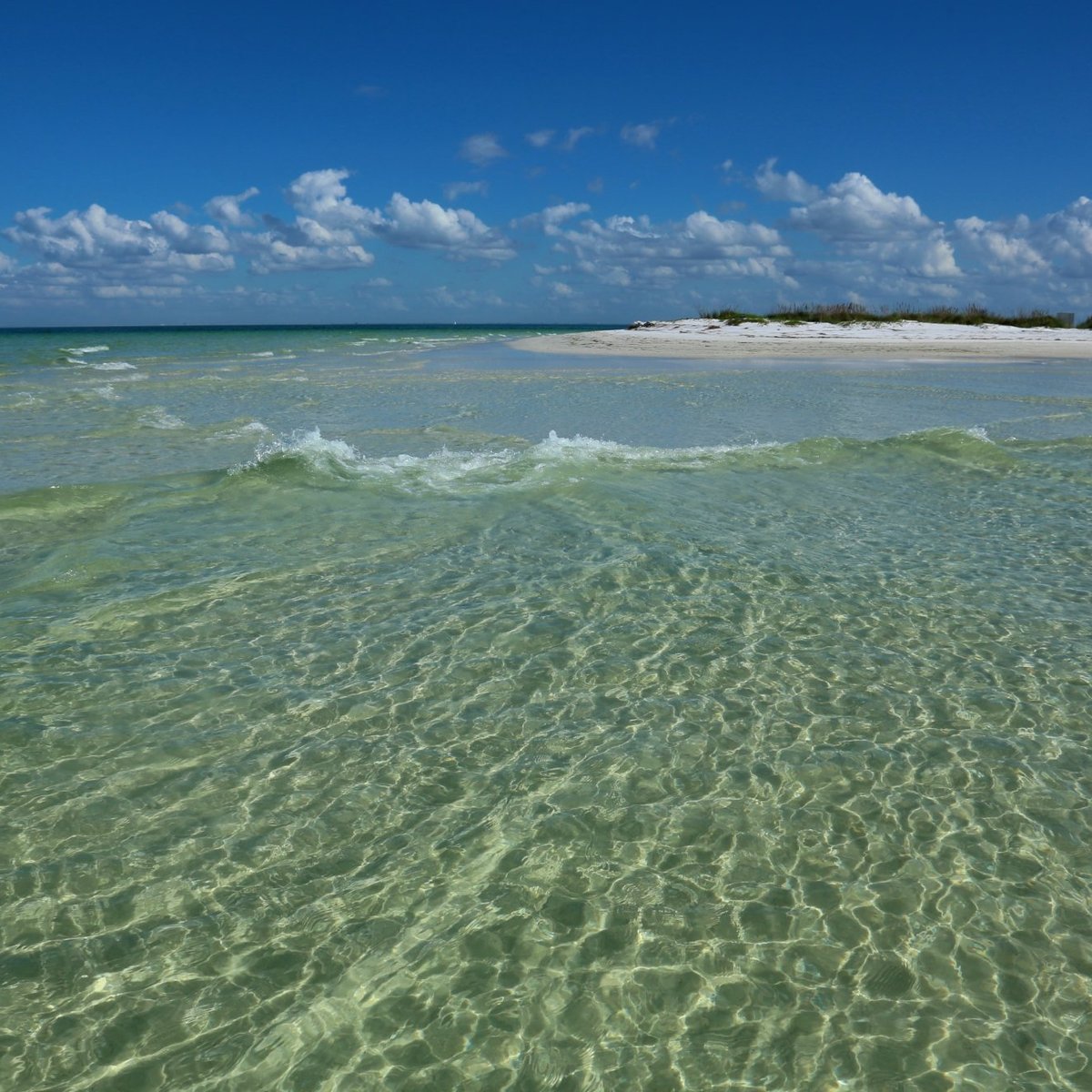 Albums 105+ Pictures passage key national wildlife refuge photos Stunning