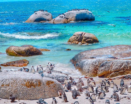 visit south africa beaches
