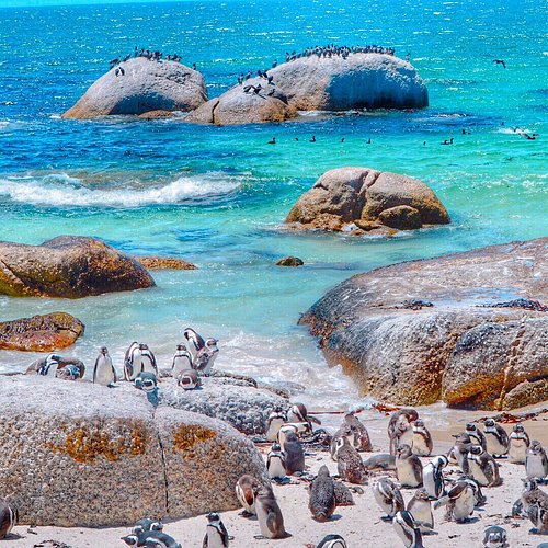 The 25+ Best Beaches in Western Cape // World Beach Guide
