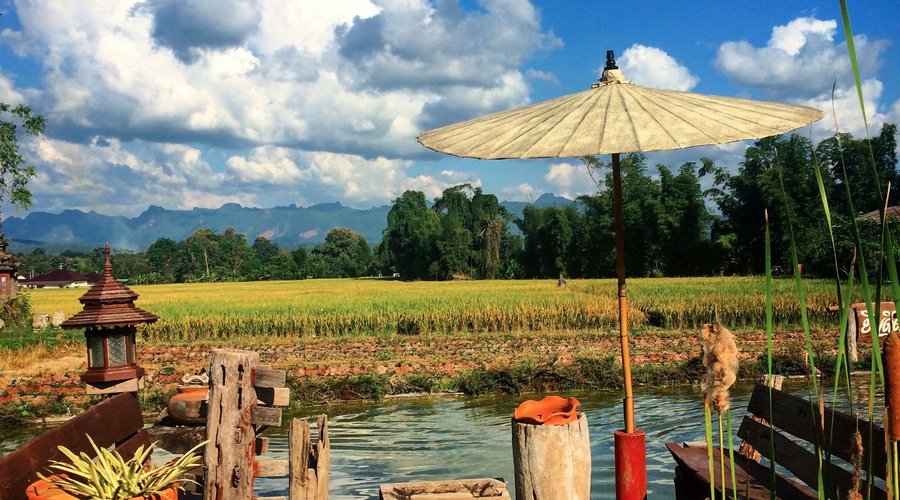 บริเวณโดยรอบร้านอาหาร นาข้าว