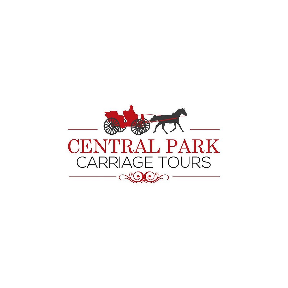 Central Park Carriage Tours (New York City) - All You Need to Know ...