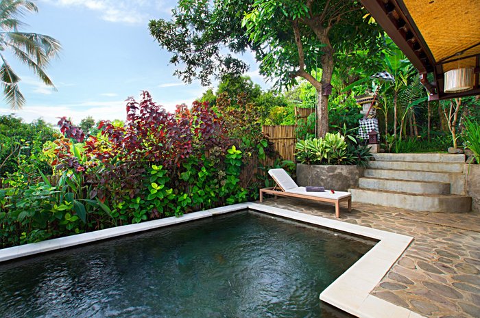 Indo Rumah Zengarden Pool Pictures & Reviews - Tripadvisor