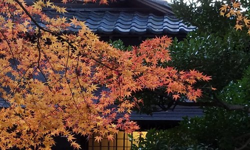 庭園の紅葉も見事です。