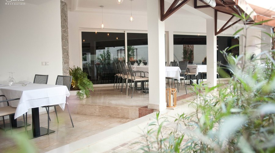 Vue de la terrasse extérieur donnant sur la piscine et le jardin