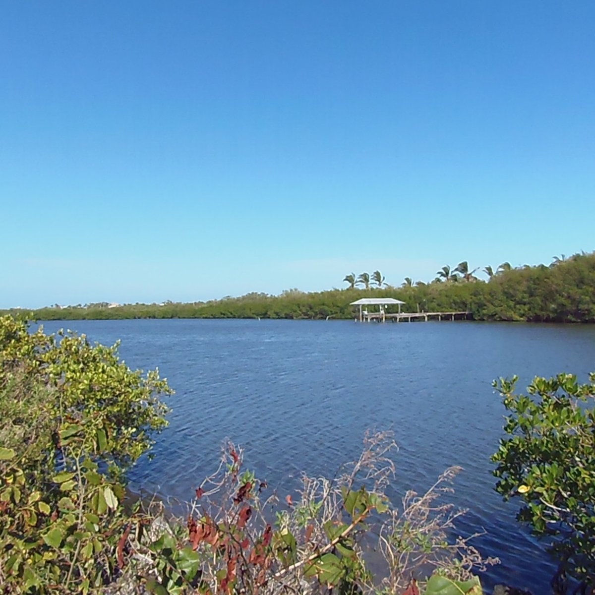 pelican-island-national-wildlife-refuge-vero-beach-lohnt-es-sich