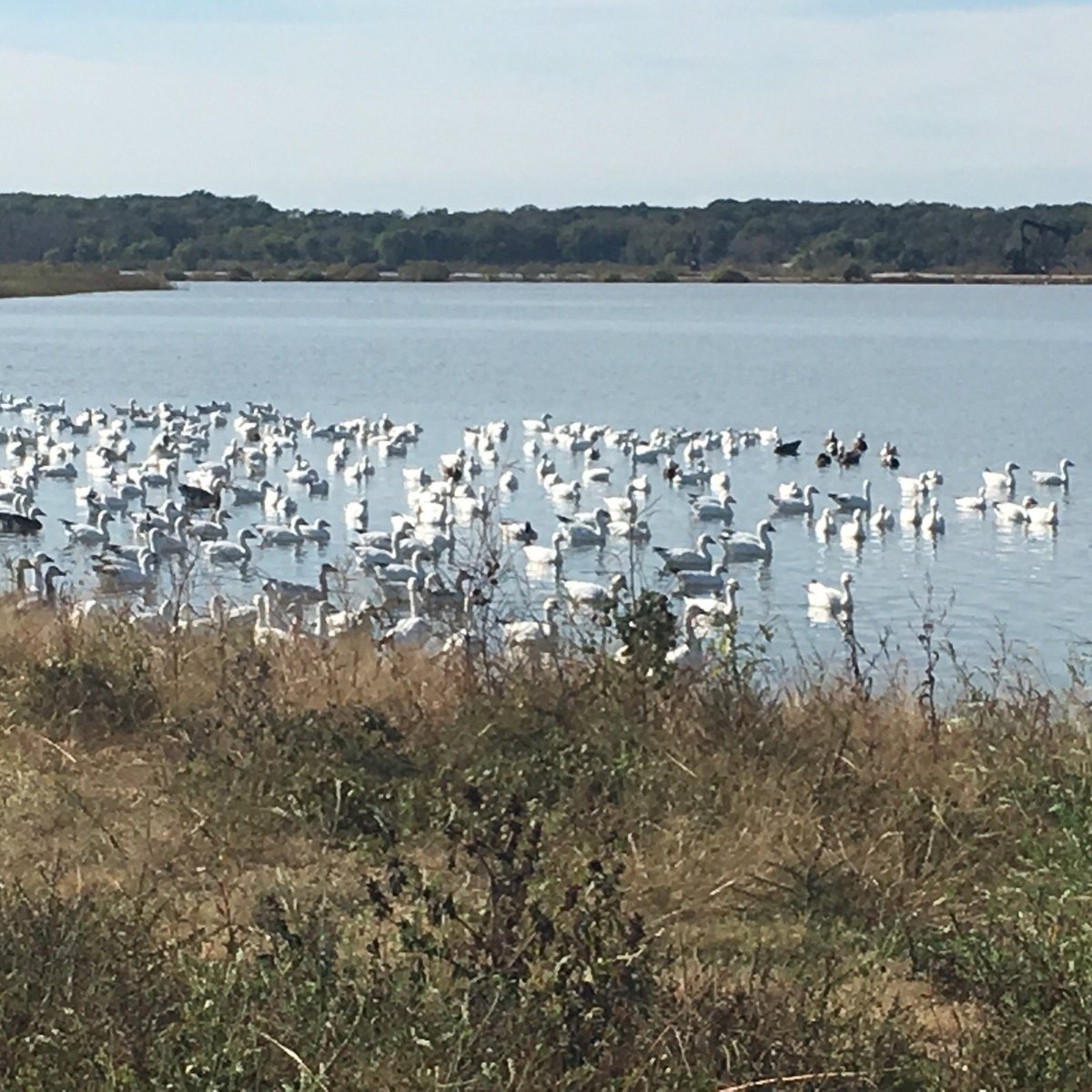 Hagerman National Wildlife Refuge (Sherman): All You Need to Know