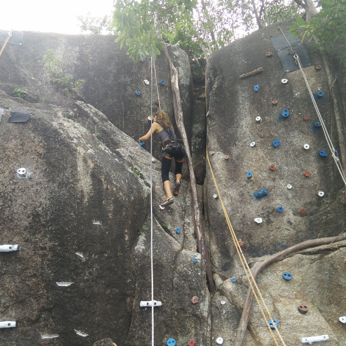 Rock Climbing Koh Samui, Чавенг: лучшие советы перед посещением -  Tripadvisor