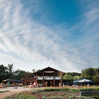 Bergsche Plas