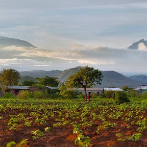 View of Mt Kilimanjaro from the SIDshare/ KEDA Field Centre