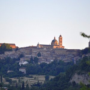 Vista panoramica del centro storico di Urbino dal parcheggio dell'hotel
