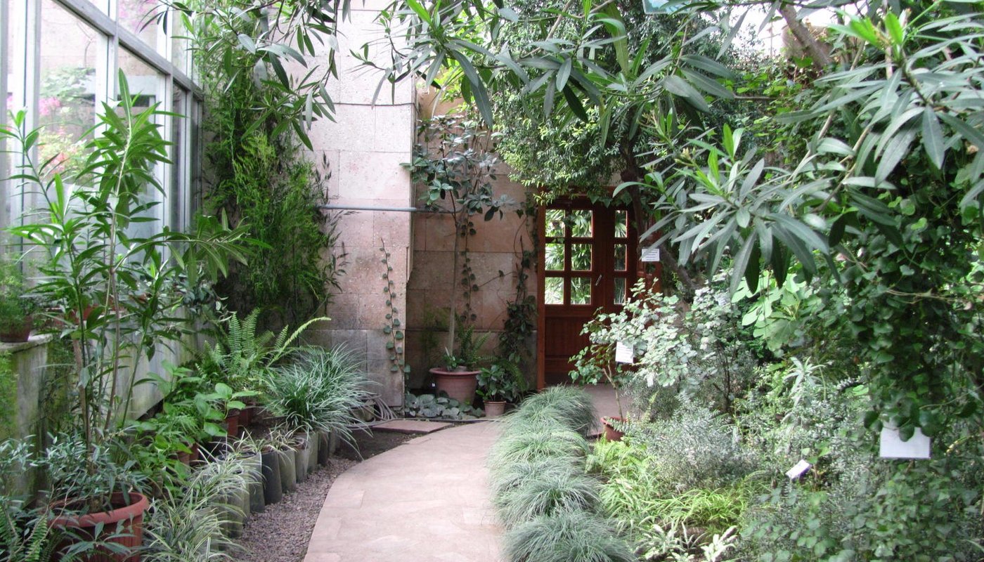 Siberian Botanical Garden (2025) - All You Need to Know BEFORE You Go (with Reviews)