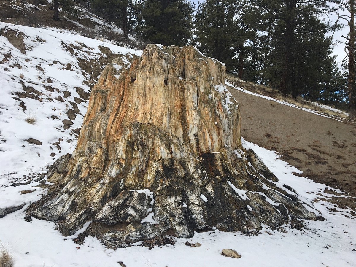 Florissant Fossil Beds National Monument - All You Need to Know BEFORE You  Go
