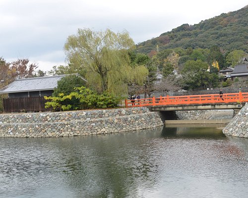 宇治市でお子様連れにおすすめの観光スポット 家族で楽しめる宇治市 日本のアクティビティ トリップアドバイザー